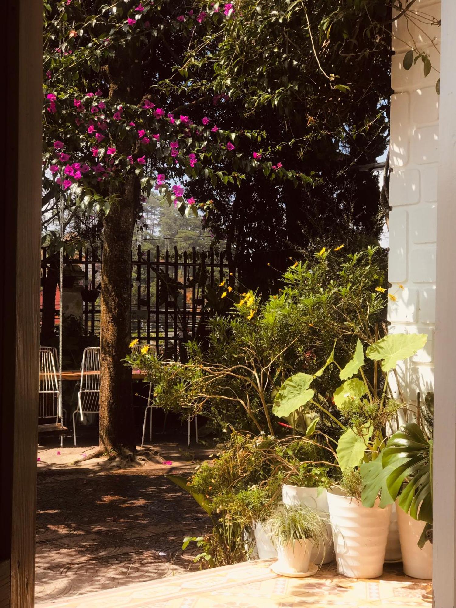 Hat De Homestay Da Lat Exterior foto